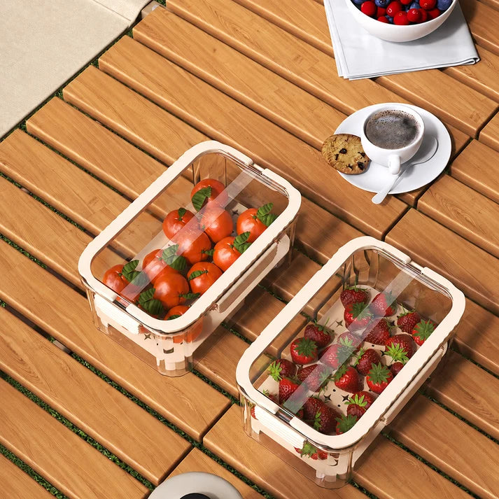 Portable Double-Layer Food Storage Container